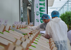 The visitors really took a close look on all of the varieties that were on display.