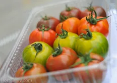 Tiger round tomatoes. This kind of varieties catch the attention of those that are looking for something really different.