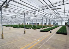 Green Circle Growers has 75 acre acres to grow ornamental bedding plants and another 22 acres of newer, modern glass for the production of high end orchids. Because high temperatures can occur in Oberlin, the ornamental greenhouses are equipped with a pad and fan cooling system.