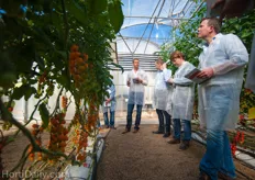 Group of growers and traders from the Netherlands observing the crop.