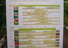 In the future Syngenta will integrate their crop protection and biologicals more intensive in the breeding strategy.