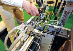 Grafting is a well known technique in Western Europe. Conic has developed a semi automatic grafting machine.