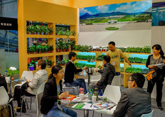 Sunshine Horticulture