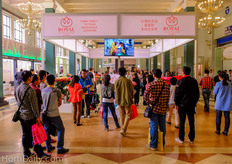 Royal Flowers from Ecuador was one of the few companies that had cut flowers on display.