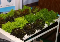 A hydroponic grow system made by P.P.F. Poultry Equipment.