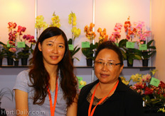 Taida Horticultural Co.