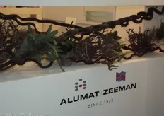 Alumat Zeeman