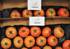 De Ruiter's leading beefsteak varieties for the Canadian market.
