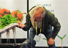 Joe Doef of Doef's Greenhouses taking a peak at the Dry Hydroponics in the BVB/AMA booth.