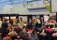 Sonja Dummen in the RedFox Booth.