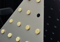 Pyramid hydroponic system with BVB Sublime substrate