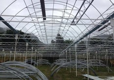 The skeleton mainframe.