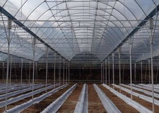 Netting is installed in the gap below the extended roof