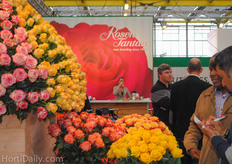 Rosen Tantau, breeder of roses, showing its varieties in their large stand.
