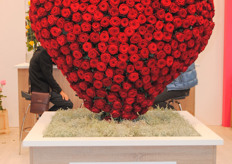 Red Naomi created by Schreurs.