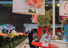 The large stand of Lex+.