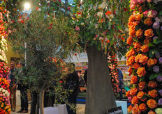 The stand of De Ruiter.