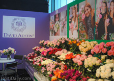 The stand of David Austin.