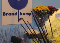 The stand of Brandkamp.