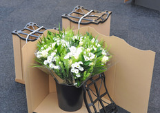 Innovative packaging