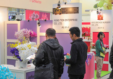 The Taiwanese pavilion