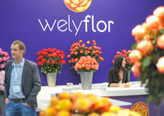Welyflor