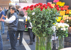Large roses from Colombia.