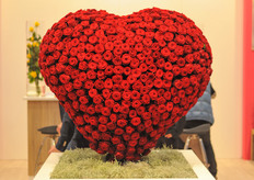 Red Naomi by Schreurs.