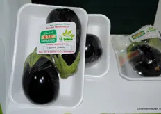 Organic eggplants, grown in the dessert