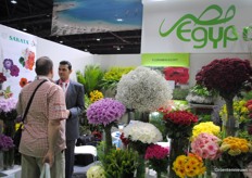 Floramix Egypt brought Sakata and their lovely flowers