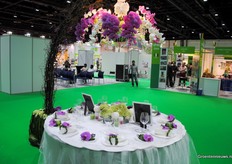 Showing the possibilities of orchids