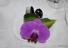 Orchid-dinner?