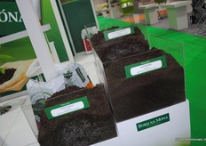 They brought their growing media to show the possibilities even in harsh conditions