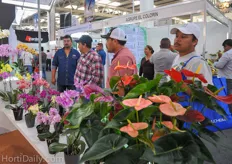 The Phalaenopsis and Anthuriums from Anthura attracted a lot of attention from the Mexican growers.
