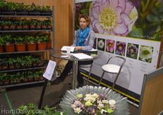 Ellen Akerboom of Zomervlinder