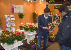 Michel Wolvers of Nolina