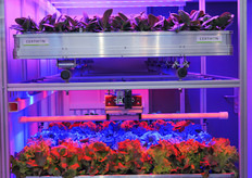 The new growth chamber of Certhon