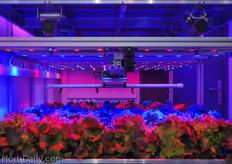 The new growth chamber of Certhon