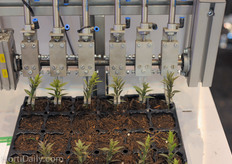 Precise automation from LANZ