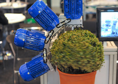 Good idea for a quick haircut?