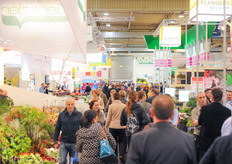 Also many visitors on the last day