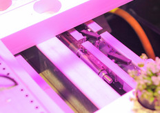 New hydroponic spacer system from Viemose