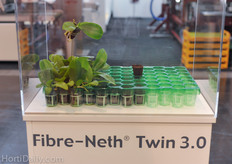 VanderKnaap introduced a new orchid propagation plug; Fibre Neth Twin 3.0