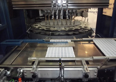 "Adrie Kelders of TTA:"We proudly presents the Midi Curve. This machine plants in a curve."