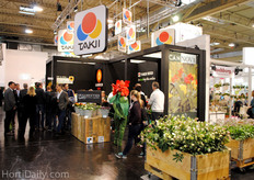 The flowers of Takii Seeds