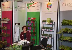 The booth of Ronald Lamers, sales associate to multiple nurseries.
