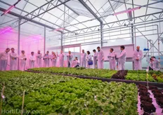 During the tour we visited several innovative greenhouse growers. We had discussions on current developments and took a look in the future of practical horticulture during a visit at the Horti Science Parc in Bleiswijk.