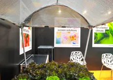 Last year, Svensson conducted a trial at a hydroponic lettuce grower in Thailand, comparing shading screens with black nets. Major improvements were realized in terms of production and product quality. The grower replaced his traditional black shade cloth with the Svensson reflective shade screens.