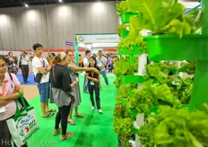 Hydroponic towers are always gaining much interest, at any show.