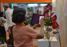 A visitor making a picture of the cut Anthurium of Anthura.